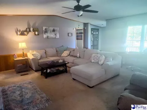 3512 Dud Rd, Effingham, SC 29541 photo 4