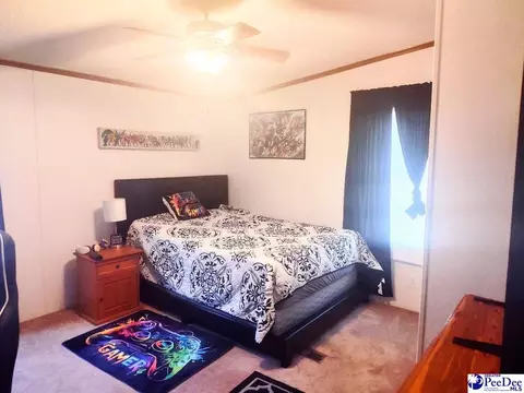 3512 Dud Rd, Effingham, SC 29541 photo 15