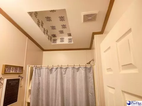 3512 Dud Rd, Effingham, SC 29541 photo 18