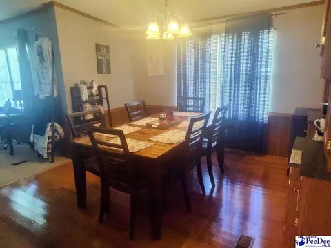 3512 Dud Rd, Effingham, SC 29541 photo 5