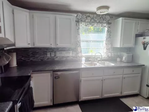 3512 Dud Rd, Effingham, SC 29541 photo 10