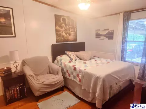 3512 Dud Rd, Effingham, SC 29541 photo 16