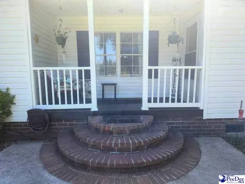 3512 Dud Rd, Effingham, SC 29541 photo 2