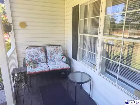 3512 Dud Rd, Effingham, SC 29541 photo 20