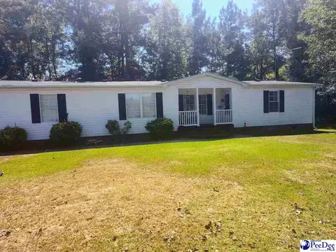3512 Dud Rd, Effingham, SC 29541 photo 1
