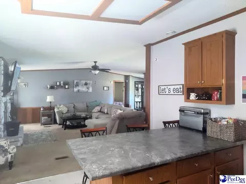 3512 Dud Rd, Effingham, SC 29541 photo 8