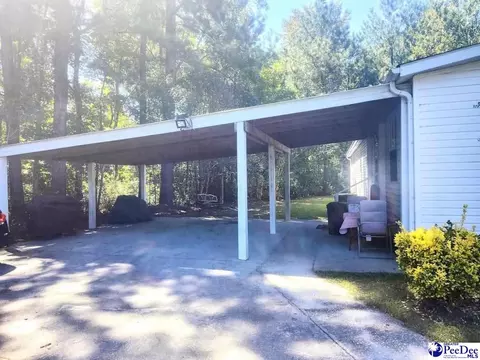 3512 Dud Rd, Effingham, SC 29541 photo 24