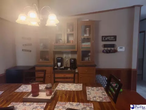 3512 Dud Rd, Effingham, SC 29541 photo 6