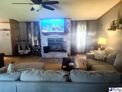 3512 Dud Rd, Effingham, SC 29541 photo 3