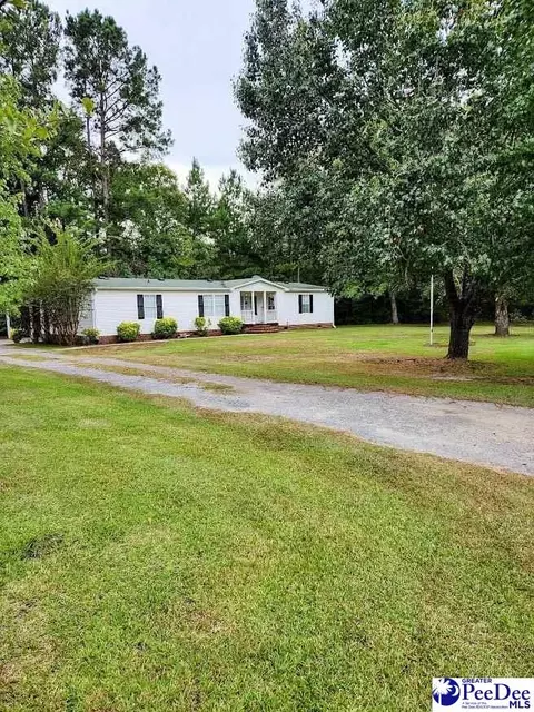 3512 Dud Rd, Effingham, SC 29541 photo 22