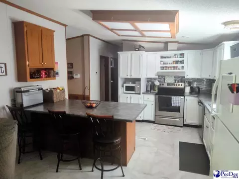 3512 Dud Rd, Effingham, SC 29541 photo 7