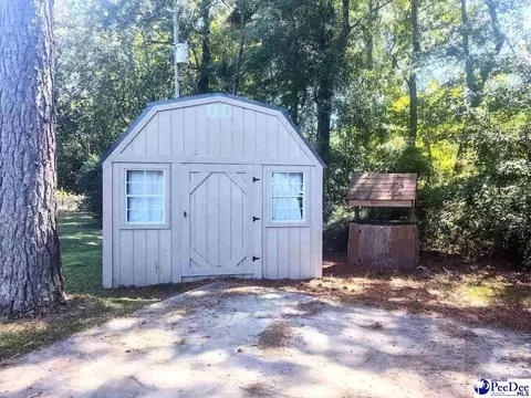 3512 Dud Rd, Effingham, SC 29541 photo 21