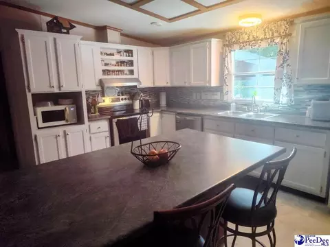 3512 Dud Rd, Effingham, SC 29541 photo 9