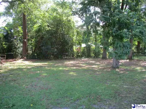 Exterior - 720 E Charlotte Ave, Sumter, SC 29150 photo 6 of 7