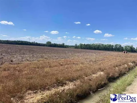 W Highway 34, Dillon, SC 29536 photo 19