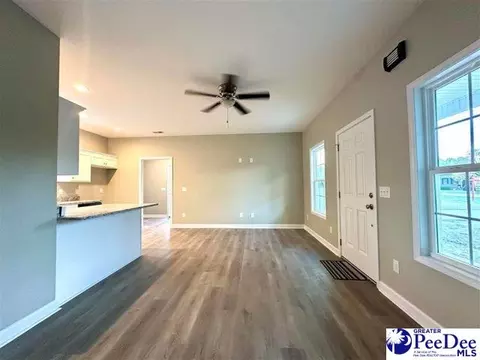 908 N 8th Ave, Dillon, SC 29536 photo 5