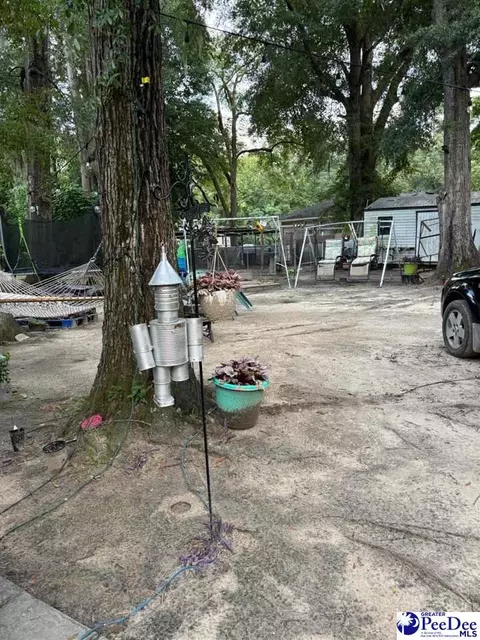 708 E Hampton St, Darlington, SC 29532 photo 12