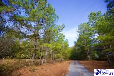 tbd Goose Pond Ln, Florence, SC 29506