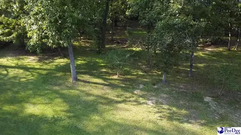 Joseph Circle, Florence, SC 29501 photo 2