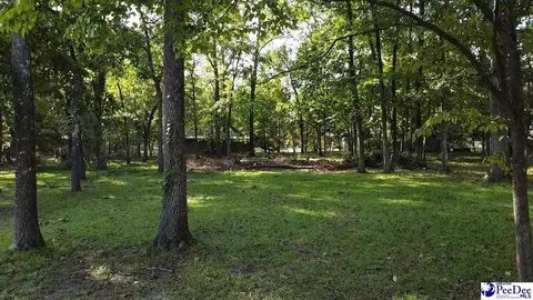 Joseph Circle, Florence, SC 29501 photo 3