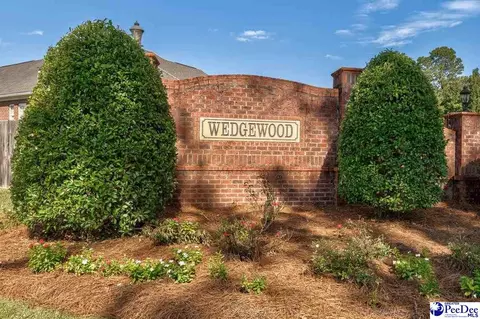 4130 Conner Dr, Florence, SC 29501 photo 53