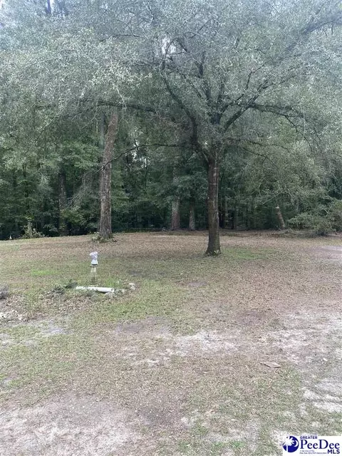 708 Grices Ferry Ct, Mullins, SC 29574