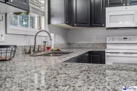 252 E Thorncliff Rd, Florence, SC 29505 photo 11