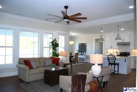 Other - 5820 Clearbrook Rd, Effingham, SC 29541 photo 2 of 29
