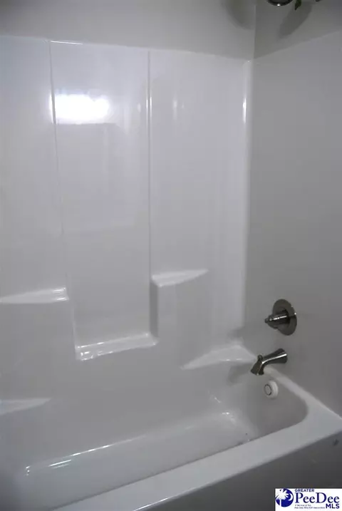 Bath - 5820 Clearbrook Rd, Effingham, SC 29541 photo 13 of 13