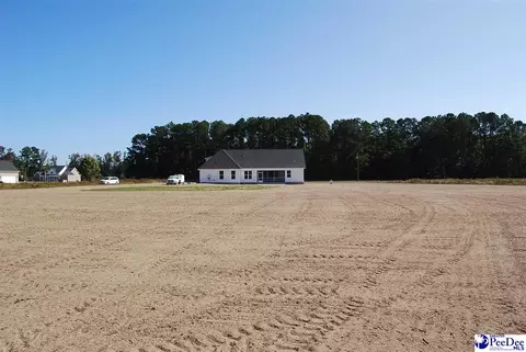 Exterior - 5820 Clearbrook Rd, Effingham, SC 29541 photo 8 of 8