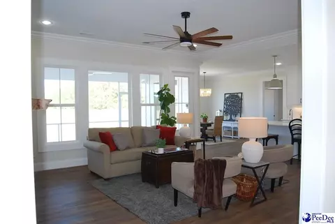 Other - 5820 Clearbrook Rd, Effingham, SC 29541 photo 1 of 29