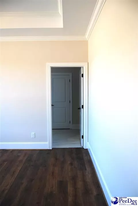 Other - 5820 Clearbrook Rd, Effingham, SC 29541 photo 10 of 29
