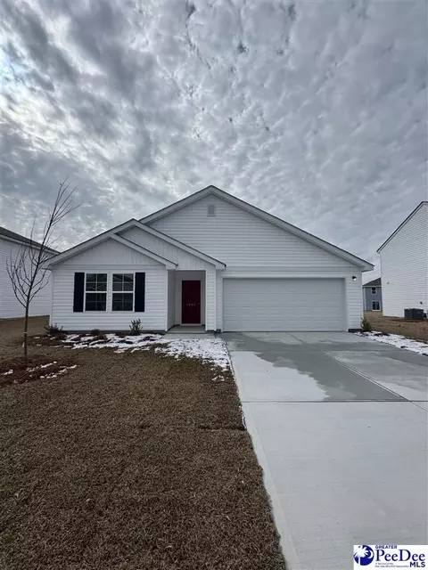 1266 Rushmore Loop, Florence, SC 29506 photo 1