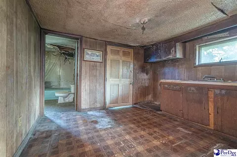 422 E 3rd Ave, Pamplico, SC 29583 photo 19
