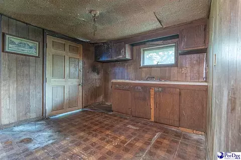 422 E 3rd Ave, Pamplico, SC 29583 photo 20