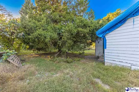 422 E 3rd Ave, Pamplico, SC 29583 photo 30