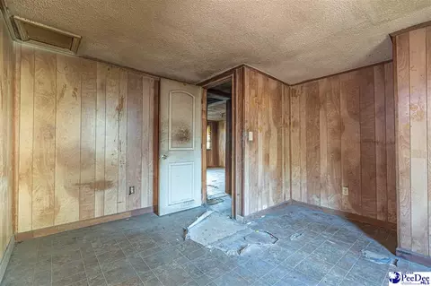 422 E 3rd Ave, Pamplico, SC 29583 photo 23