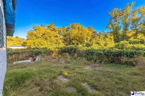 422 E 3rd Ave, Pamplico, SC 29583 photo 29