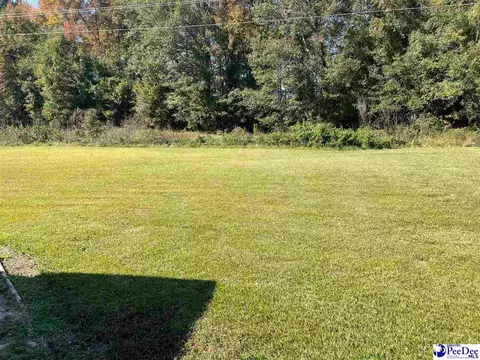 502 Dianne Dr, Cheraw, SC 29520 photo 8