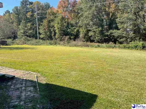 502 Dianne Dr, Cheraw, SC 29520 photo 11