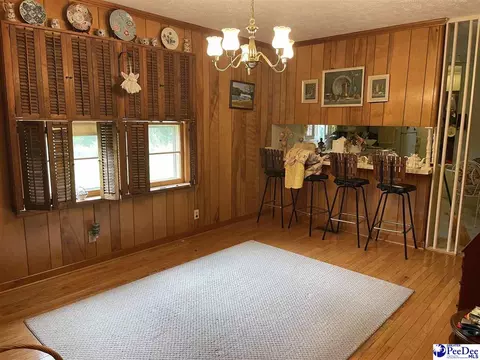 502 Dianne Dr, Cheraw, SC 29520 photo 14