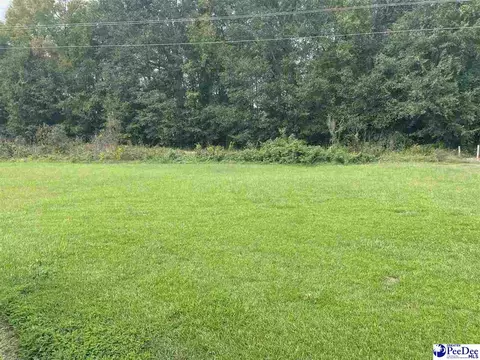 502 Dianne Dr, Cheraw, SC 29520 photo 6