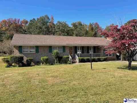 502 Dianne Dr, Cheraw, SC 29520 photo 5