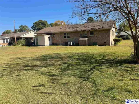 502 Dianne Dr, Cheraw, SC 29520 photo 9