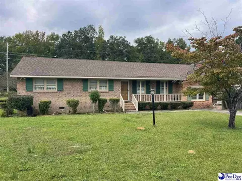 502 Dianne Dr, Cheraw, SC 29520 photo 1