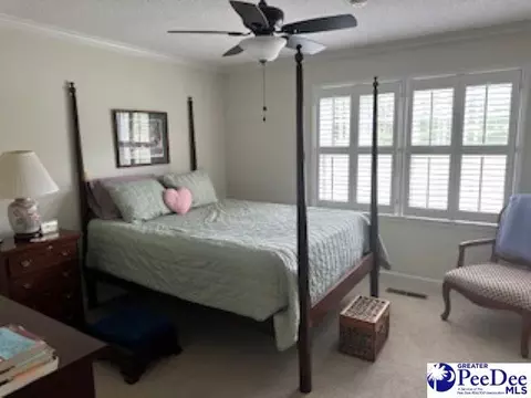 537 Roberts Rd, Dillon, SC 29536 photo 9