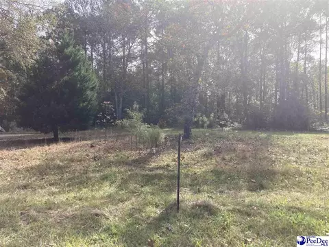 1939 Rolling Acres Dr, Dillon, SC 29536 photo 1