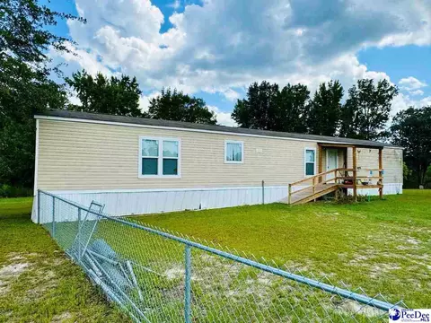 4137 Albert Ln, Wallace, SC 29596 photo 2