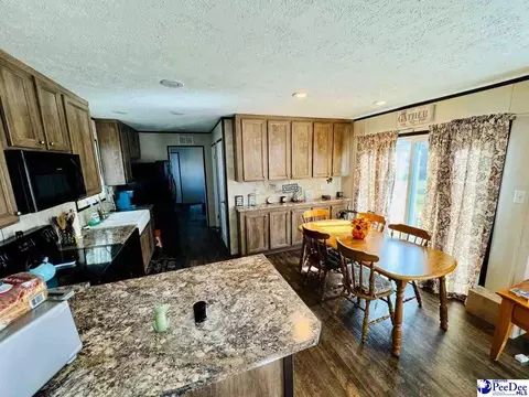 4137 Albert Ln, Wallace, SC 29596 photo 16