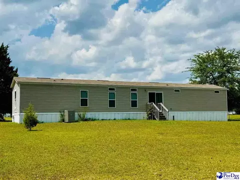 4137 Albert Ln, Wallace, SC 29596 photo 3